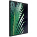 Poster Sharp Leaves - botanical composition with plants on a background of deep black 119024 additionalThumb 12