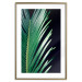 Poster Sharp Leaves - botanical composition with plants on a background of deep black 119024 additionalThumb 16