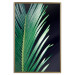 Poster Sharp Leaves - botanical composition with plants on a background of deep black 119024 additionalThumb 20