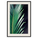 Poster Sharp Leaves - botanical composition with plants on a background of deep black 119024 additionalThumb 18
