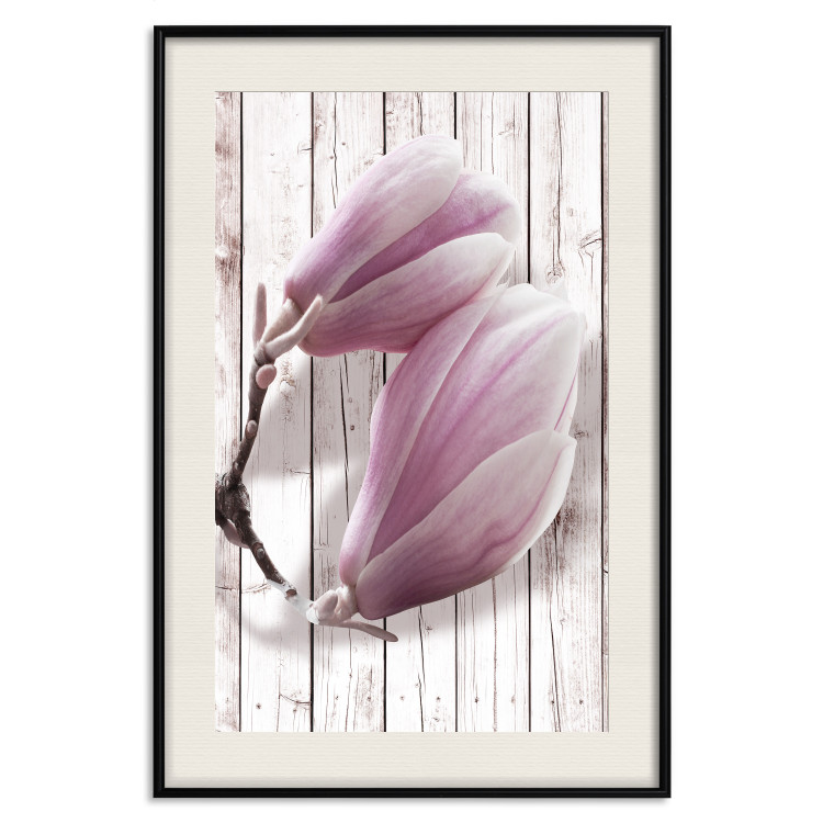 Poster Provence Magnolia - pink flowers on a background of white wooden boards 122724 additionalImage 18