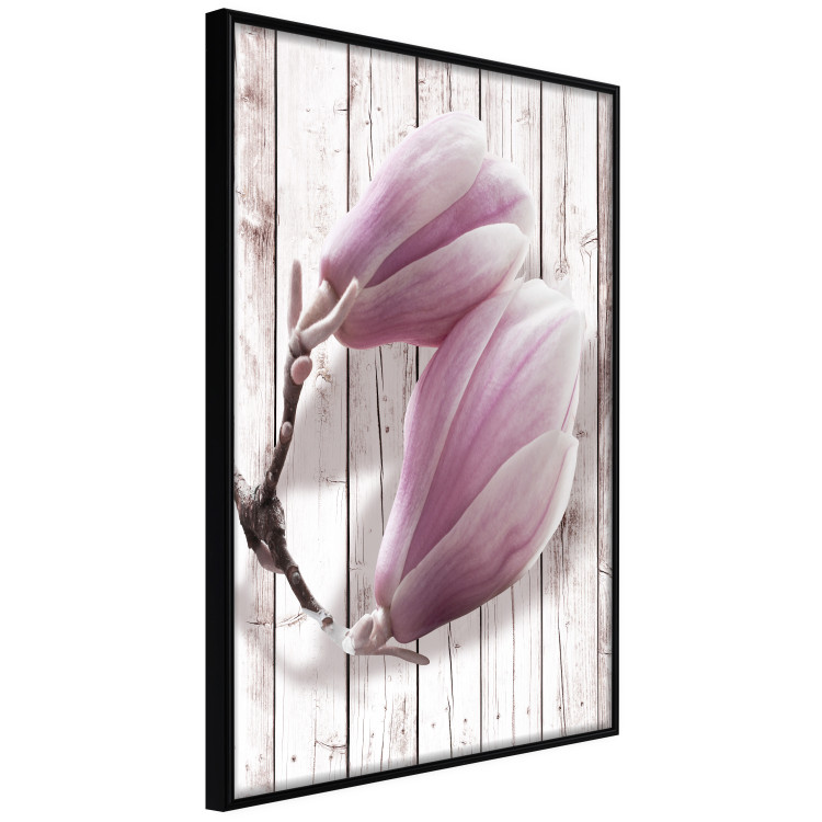 Poster Provence Magnolia - pink flowers on a background of white wooden boards 122724 additionalImage 10