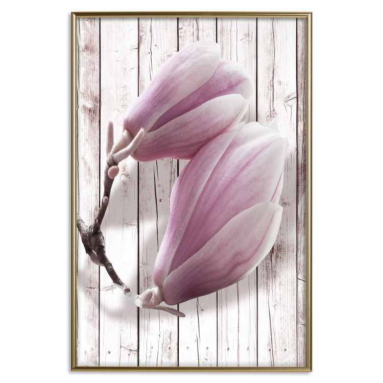 Poster Provence Magnolia - pink flowers on a background of white wooden boards 122724 additionalImage 16