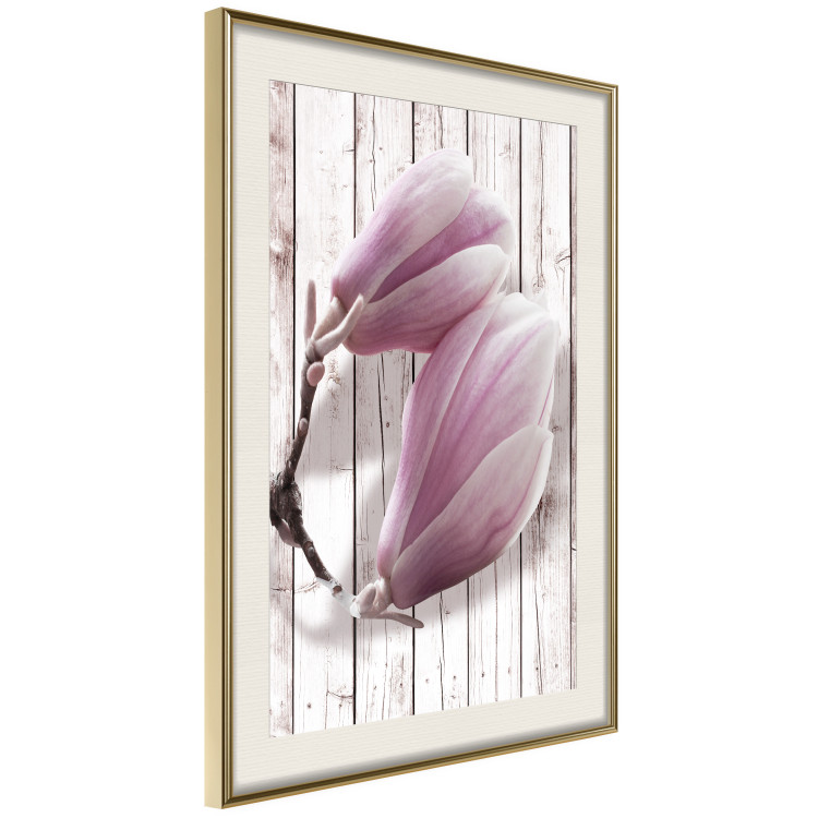 Poster Provence Magnolia - pink flowers on a background of white wooden boards 122724 additionalImage 2