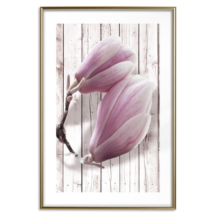 Poster Provence Magnolia - pink flowers on a background of white wooden boards 122724 additionalImage 16