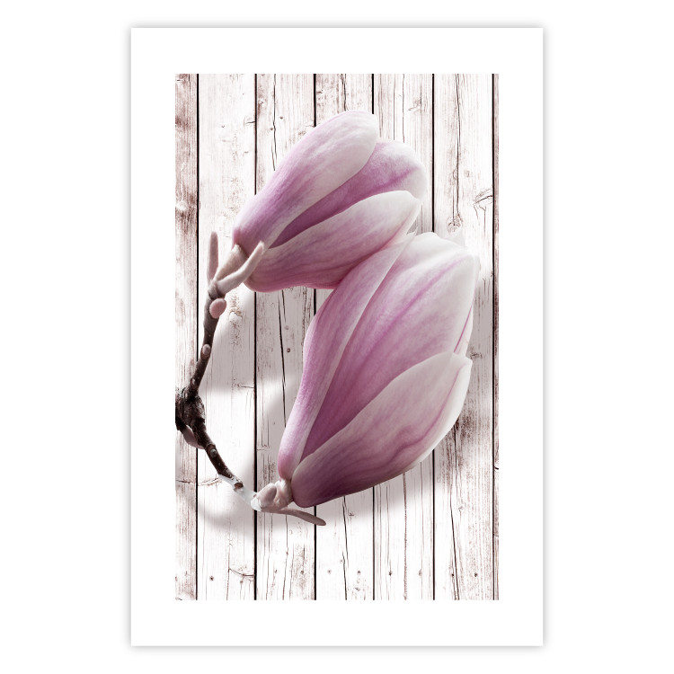 Poster Provence Magnolia - pink flowers on a background of white wooden boards 122724 additionalImage 25