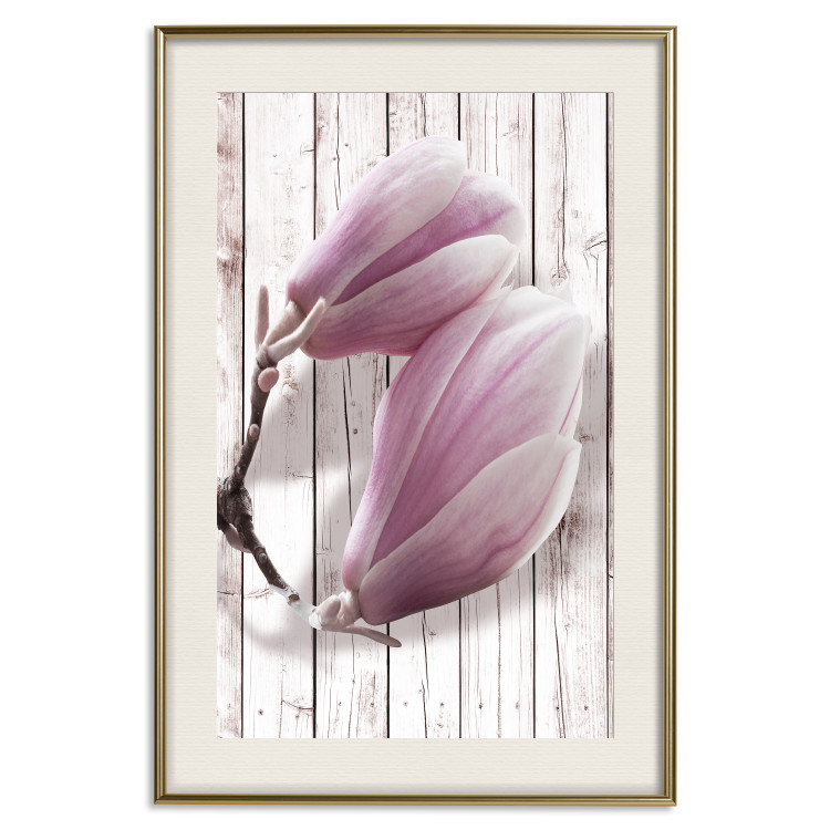 Poster Provence Magnolia - pink flowers on a background of white wooden boards 122724 additionalImage 19