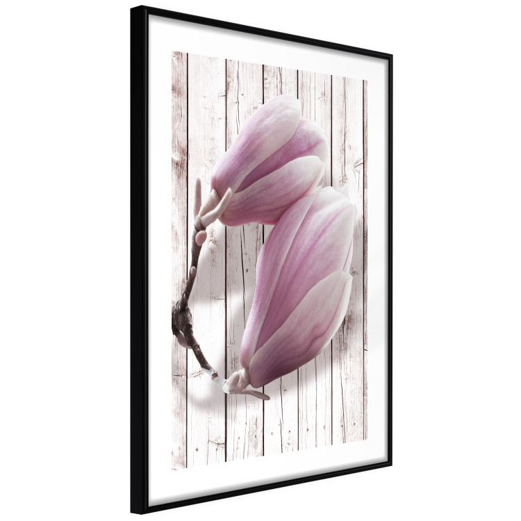 Poster Provence Magnolia - pink flowers on a background of white wooden boards 122724 additionalImage 11