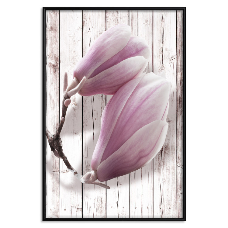 Poster Provence Magnolia - pink flowers on a background of white wooden boards 122724 additionalImage 24