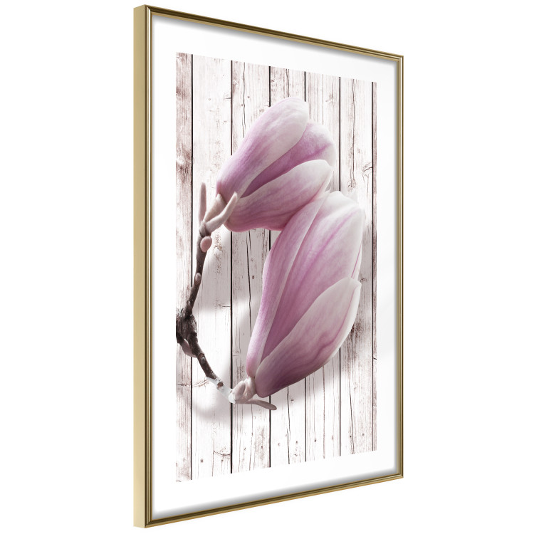Poster Provence Magnolia - pink flowers on a background of white wooden boards 122724 additionalImage 8