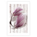 Poster Provence Magnolia - pink flowers on a background of white wooden boards 122724 additionalThumb 25