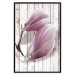 Poster Provence Magnolia - pink flowers on a background of white wooden boards 122724 additionalThumb 24