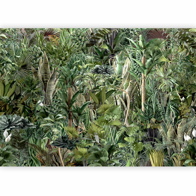Wall Mural Rich jungle - exotic green wilderness landscape with trees 135224 additionalImage 1