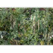 Wall Mural Rich jungle - exotic green wilderness landscape with trees 135224 additionalThumb 1