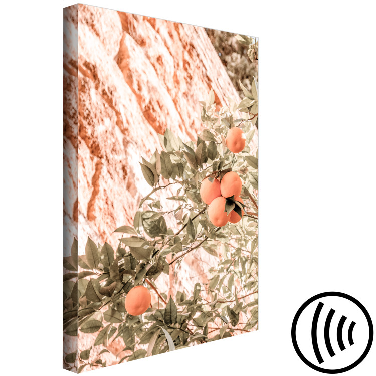 Canvas Print Young Clementines (1-piece) - fruits among branches of a green tree 145324 additionalImage 6