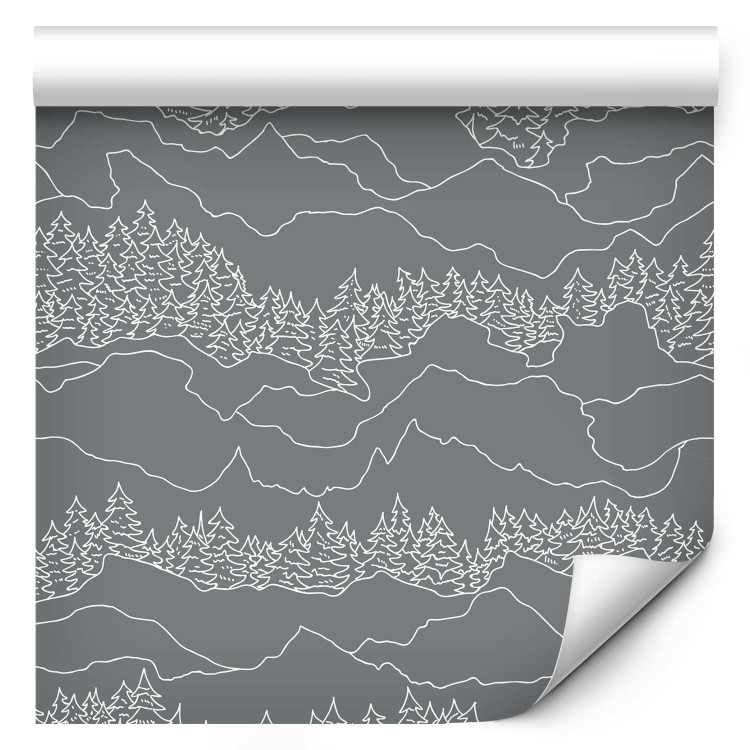 Wallpaper Forest in the Mountains - Sketch of White Mountains and Christmas Trees on a Dark Gray Background 149924 additionalImage 1