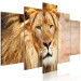 Canvas Art Print Lion King (5-part) Wide Orange - Exotic Lion 108234 additionalThumb 2