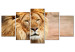 Canvas Art Print Lion King (5-part) Wide Orange - Exotic Lion 108234