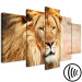 Canvas Art Print Lion King (5-part) Wide Orange - Exotic Lion 108234 additionalThumb 6