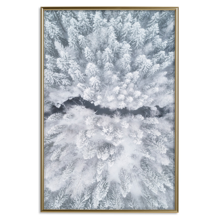Wall Poster Tree crowns - winter landscape of snow-covered trees seen from above 115134 additionalImage 20