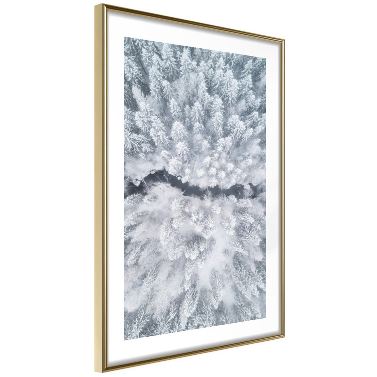 Wall Poster Tree crowns - winter landscape of snow-covered trees seen from above 115134 additionalImage 6