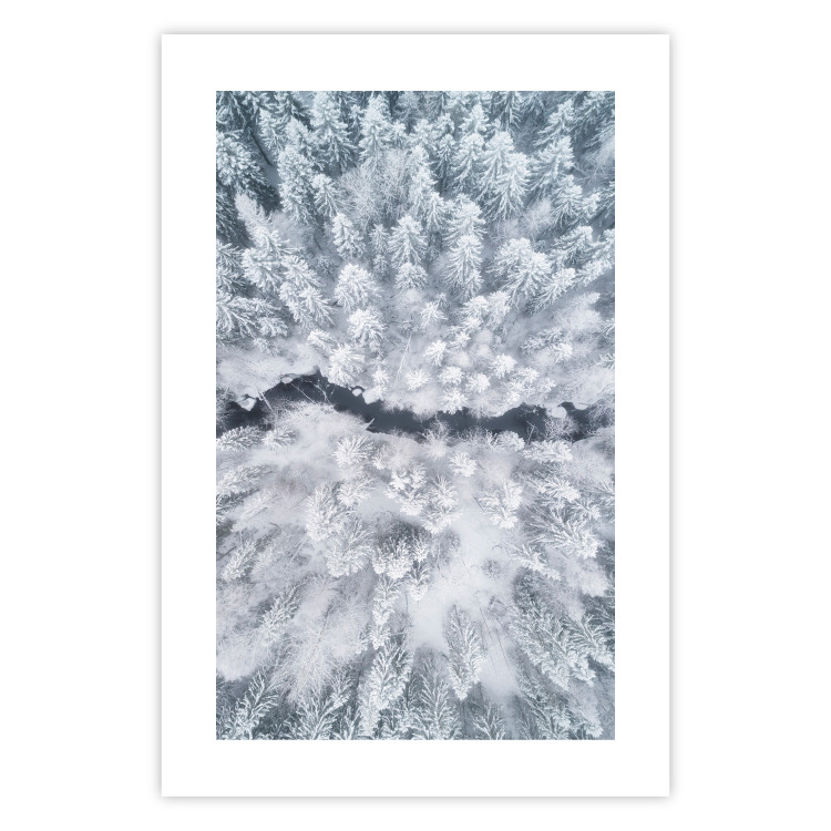 Wall Poster Tree crowns - winter landscape of snow-covered trees seen from above 115134 additionalImage 25