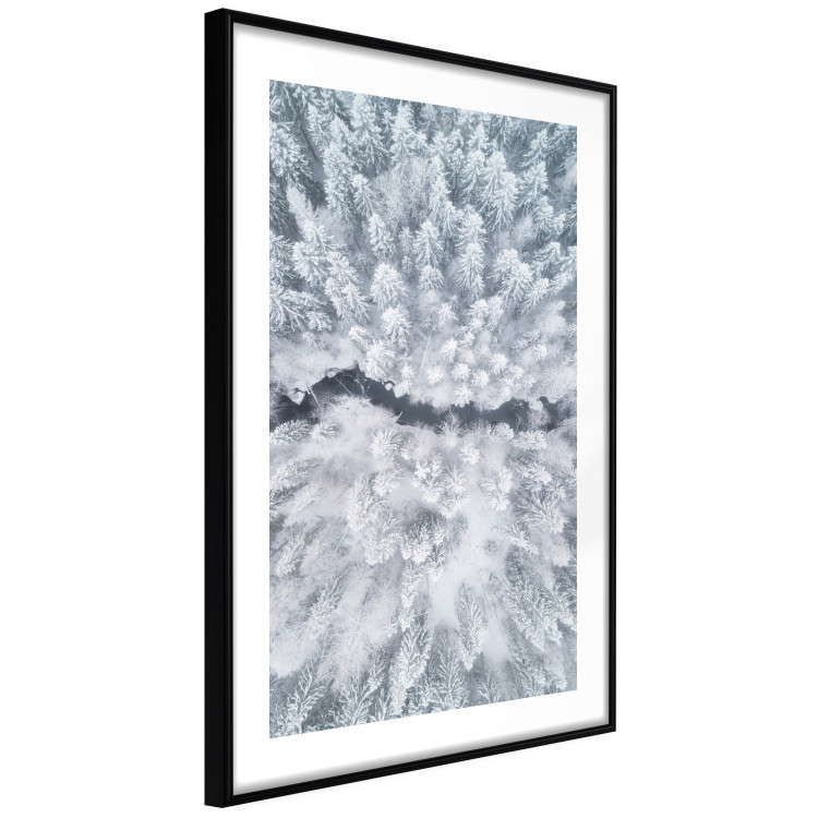 Wall Poster Tree crowns - winter landscape of snow-covered trees seen from above 115134 additionalImage 13