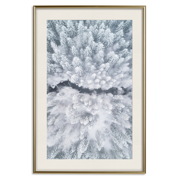 Wall Poster Tree crowns - winter landscape of snow-covered trees seen from above 115134 additionalImage 19