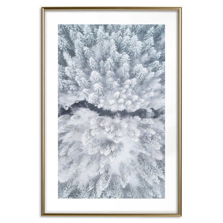 Wall Poster Tree crowns - winter landscape of snow-covered trees seen from above 115134 additionalImage 14