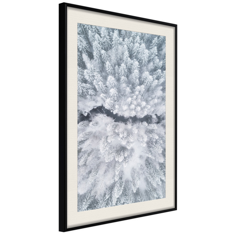 Wall Poster Tree crowns - winter landscape of snow-covered trees seen from above 115134 additionalImage 3