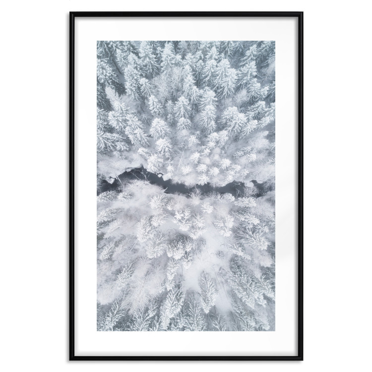 Wall Poster Tree crowns - winter landscape of snow-covered trees seen from above 115134 additionalImage 15