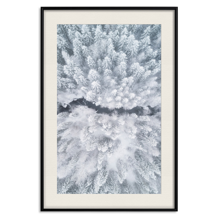 Wall Poster Tree crowns - winter landscape of snow-covered trees seen from above 115134 additionalImage 18