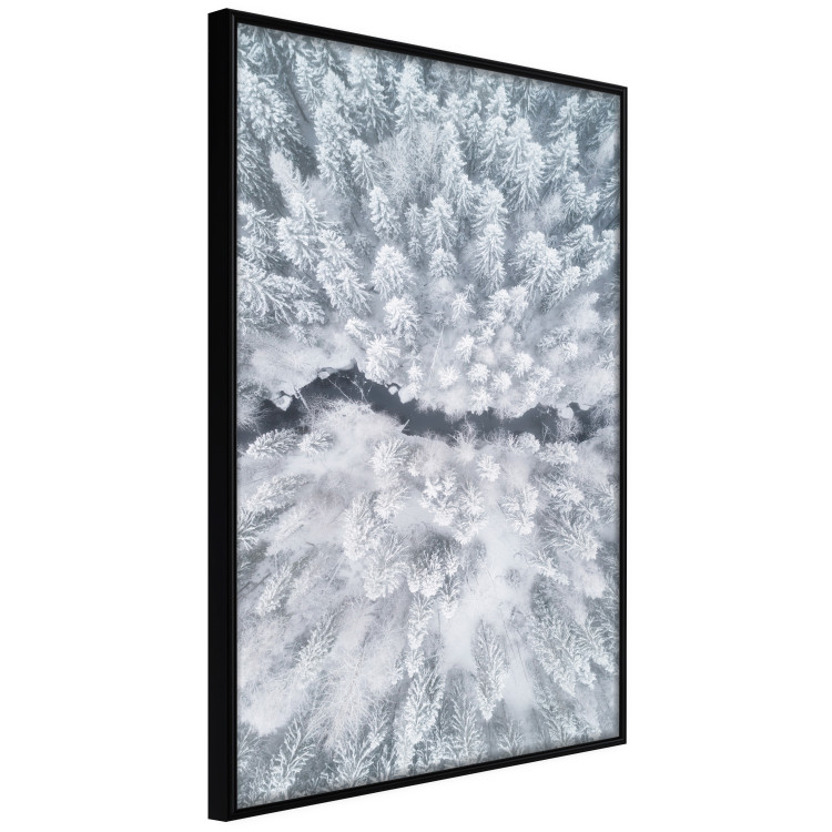 Wall Poster Tree crowns - winter landscape of snow-covered trees seen from above 115134 additionalImage 12