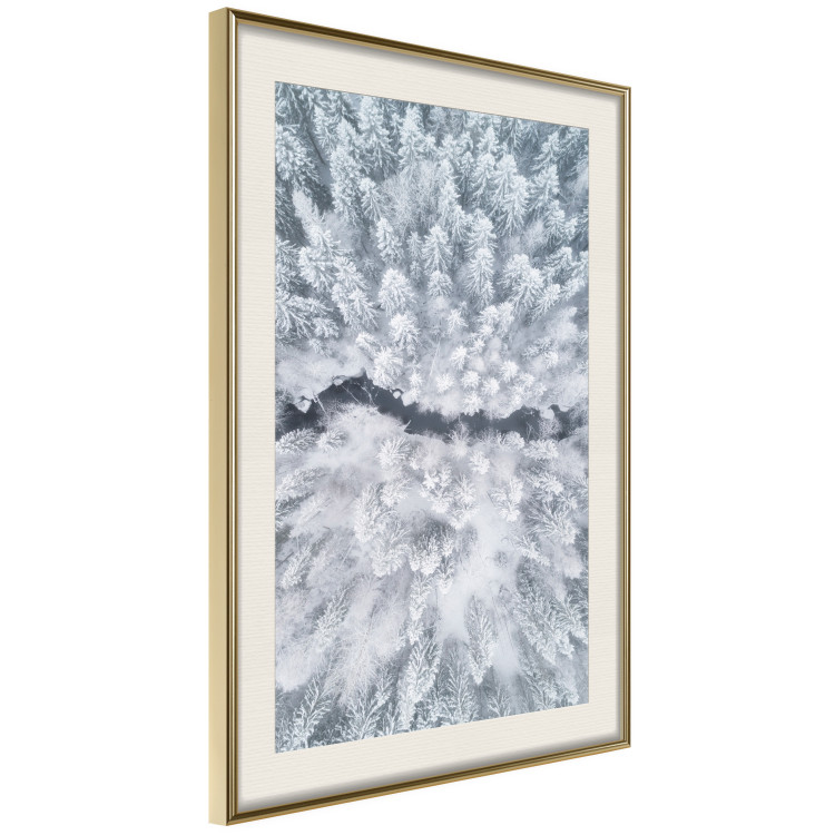 Wall Poster Tree crowns - winter landscape of snow-covered trees seen from above 115134 additionalImage 2