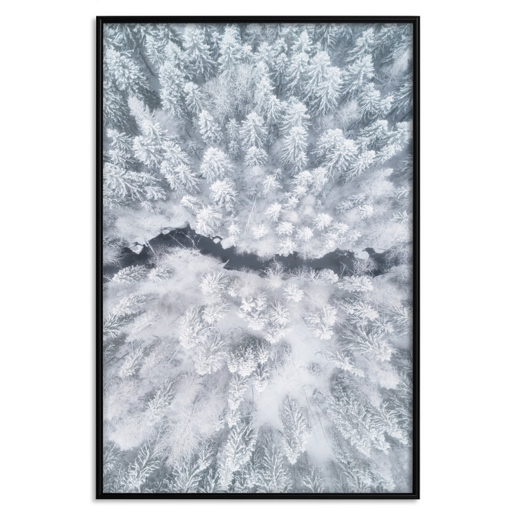 Wall Poster Tree crowns - winter landscape of snow-covered trees seen from above 115134 additionalImage 24