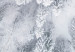 Wall Poster Tree crowns - winter landscape of snow-covered trees seen from above 115134 additionalThumb 8