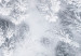 Wall Poster Tree crowns - winter landscape of snow-covered trees seen from above 115134 additionalThumb 11