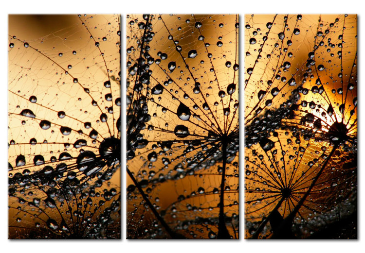 Print On Glass Dandelions and Dew [Glass] 117034 additionalImage 2