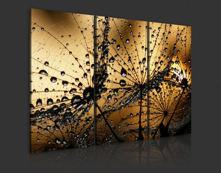 Print On Glass Dandelions and Dew [Glass] 117034 additionalImage 5