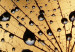 Print On Glass Dandelions and Dew [Glass] 117034 additionalThumb 6