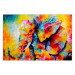 Poster Colorful Animals: Elephant - multicolored animal in watercolor motif 127034