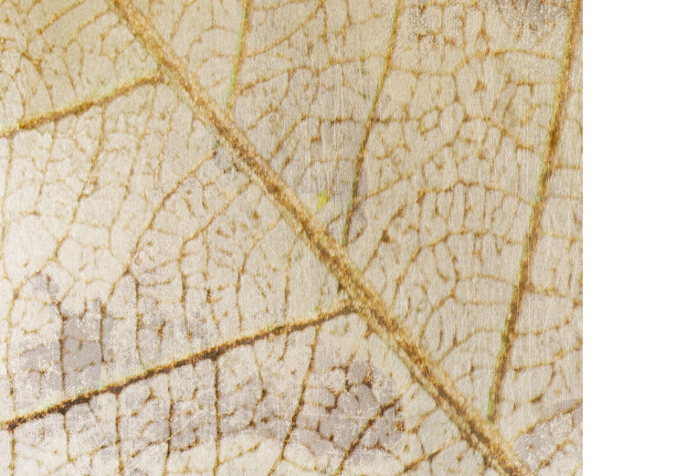 Wall Poster Beginning of Growth - abstract pattern composition on leaf texture 127834 additionalImage 8