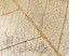 Wall Poster Beginning of Growth - abstract pattern composition on leaf texture 127834 additionalThumb 6
