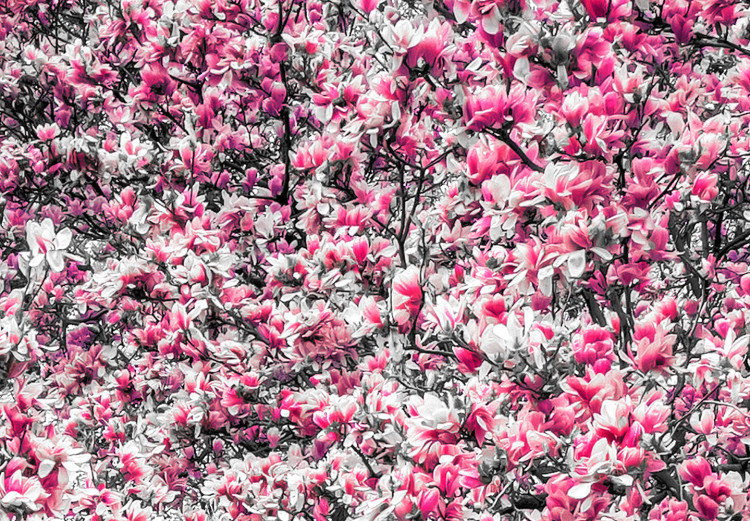 Large canvas print Magnolia Park - Pink [Large Format] 128634 additionalImage 5