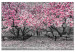 Large canvas print Magnolia Park - Pink [Large Format] 128634