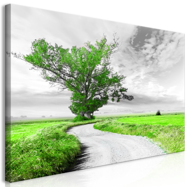 Large canvas print Tree near the Road - Green II [Large Format] 128734 additionalImage 3