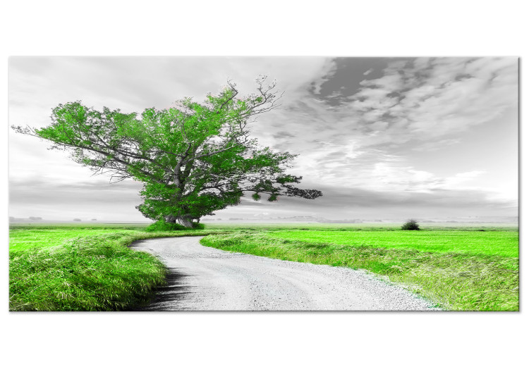 Large canvas print Tree near the Road - Green II [Large Format] 128734