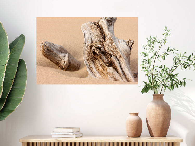 Wall Poster Uncovered Past - beach landscape with a piece of brown wood 129834 additionalImage 2