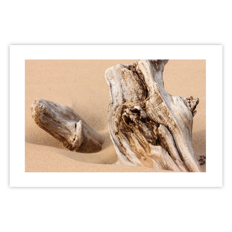 Wall Poster Uncovered Past - beach landscape with a piece of brown wood 129834 additionalImage 25