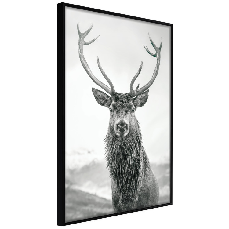 Wall Poster Lord of Autumn - black and white portrait of a deer against a background of sky and nature 130734 additionalImage 11